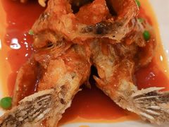 松鼠桂鱼-金时代顺风大酒店(金山店)