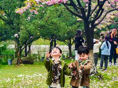 -苏州河梦清园环保主题公园