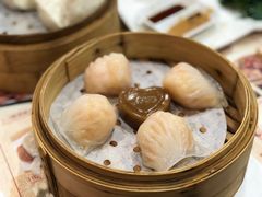 金牌虾饺皇-赏点粤式点心(广州塔店)