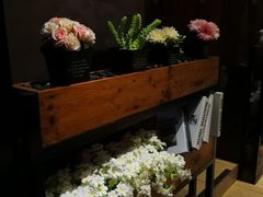 -彼芝奇比萨(红坊店)