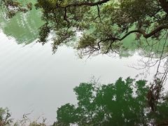 -广州市流溪河国家森林公园