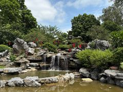 -东莞植物园