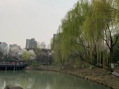 -青枫公园