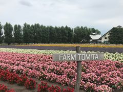 -富田农场