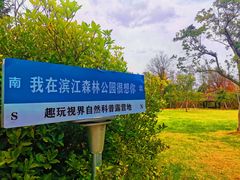 -上海滨江森林公园