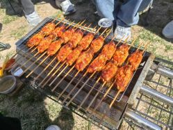 -268童话露营农场·烧烤·团建