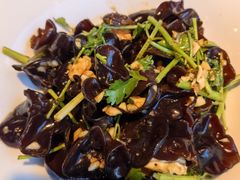 -洞庭家宴·头牌甲鱼(广渠门店)