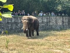 -西安秦岭野生动物园