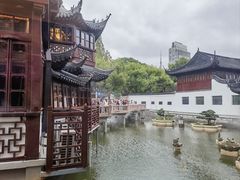 -绿波廊(豫园店)