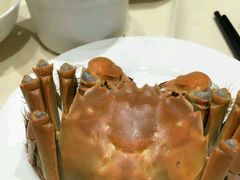 -王宝和酒家(黄浦店)