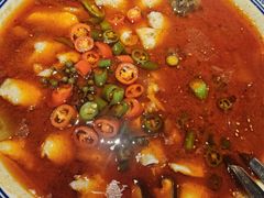 水煮鱼（海鲈）-川香鼎盛·川府家宴商务宴请(市桥富华总店)