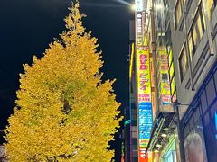 -Animate(秋叶原本馆)