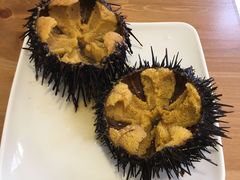 -海胆小馆(东北水饺·春柳店)