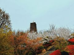 -牛首山文化旅游区