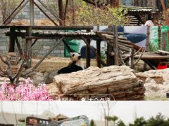 -大青山野生动物园