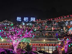 -枇杷园食为鲜火锅(南山店)