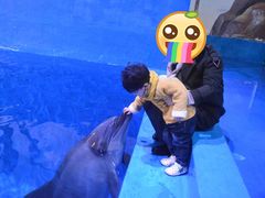 -华夏文旅海洋公园