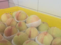-老袁家蜜桃农场·阳山水蜜桃