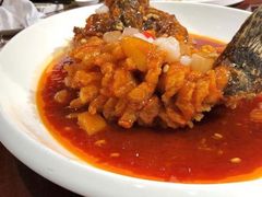 茄汁松鼠鱼-欣旺·迎宾楼·百年无锡菜