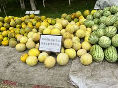 -哈密回王府景区