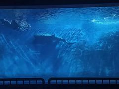 -北戴河圣蓝海洋公园