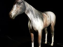 -台北故宫博物院