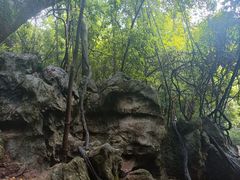 -杭州西湖风景名胜区-三生石