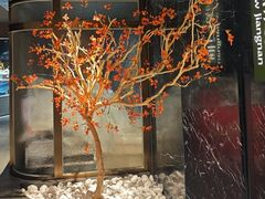 -百纳·锦绣江南 (百纳瑞汀酒店)