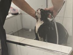 -comecome来吧宠物(奥克斯中心店)