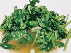 蒜蓉豌豆尖-北平楼·烤鸭·北京菜(牡丹园店)