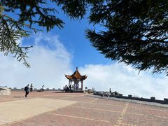 -白草畔自然风景区