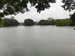 -OLD TREE老树咖啡·西餐厅(台山人工湖店)