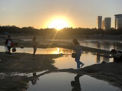 -日照灯塔风景区