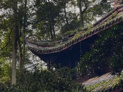 -青城山
