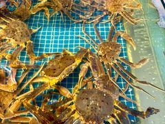 -驻海渔市(置信店)