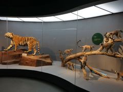 -武汉园博园(武汉自然博物馆)