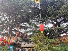 -旺角小渔村·海肠捞饭开创者(环山路店)