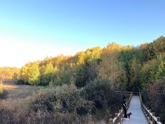 -塞罕坝国家级自然保护区