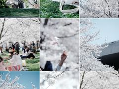 -上海辰山植物园