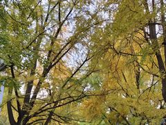 -四川大学(华西校区)