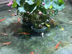 -惠食佳(滨江大公馆店)
