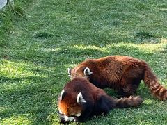 -水上乐园·欢乐世界