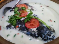 -全乐鱼馆·淳牌有机鱼直营店