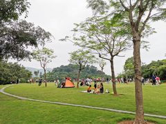 -大屏嶂森林公园