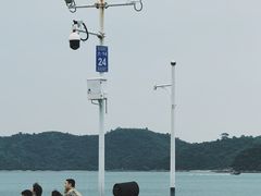 -Reset Coffee 与海咖啡