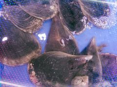 -QQ海鲜餐厅