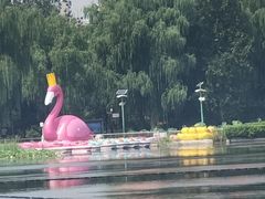 -莲花池公园