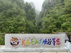 -苍山感通索道