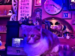 -星宿秘码(鼓浪屿老店)