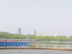 -莲花池公园
